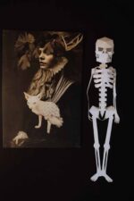 Papercraft 3D esqueleto Halloween