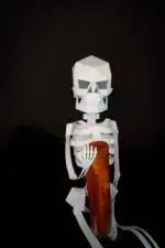 Papercraft 3D Halloween skelet, weergave 4