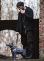 3D papercraft bull terrier