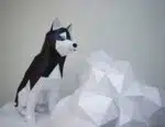 Husky sentado en papercraft 3D