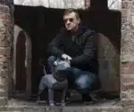 Bulldog in papercraft 3D, weergave 4