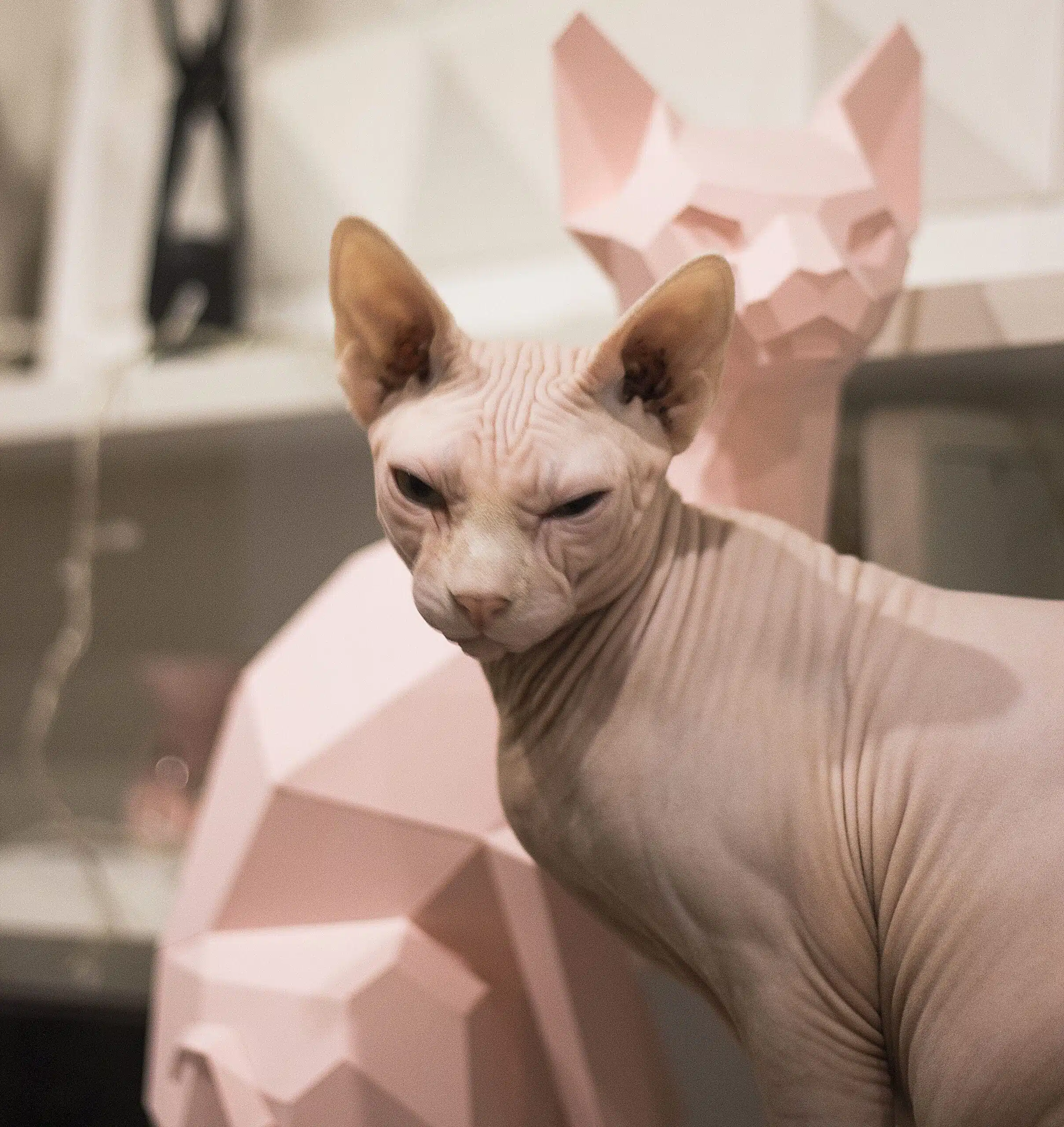 Sfinx kat sculptuur zittend papercraft, weergave 8