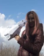 Papercraft kleines Nilpferd im Origami 3D