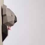 Papercraft of dapper koala in origami 3D