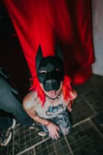 Masque Doberman en papercraft 3D