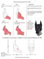 Dobermannmasker papercraft 3D, weergave 4