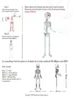 Papercraft 3D Halloween skelet, weergave 3