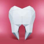 Molaire en papercraft 3D