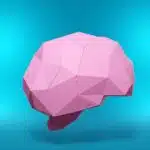 Hersenen in 3D-origami papercraft, 3D-model