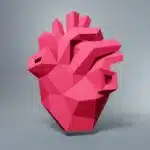 Hart anatomisch papercraft 3D origami, 3D-model