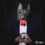 Papercraft máscara de buldogue francês em origami