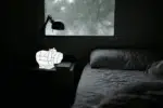 Luce notturna ippopotamo in papercraft 3D