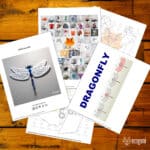 Papercraft de libellule en origami 3D