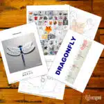 Papercraft de libellule en origami 3D