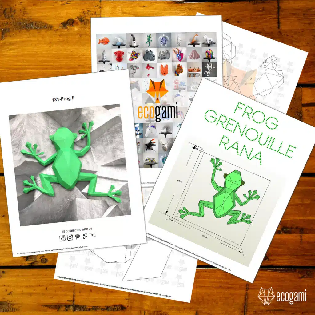 Papercraft grenouille murale grimpante en origami 3D