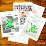 Papercraft de grenouille en origami 3D