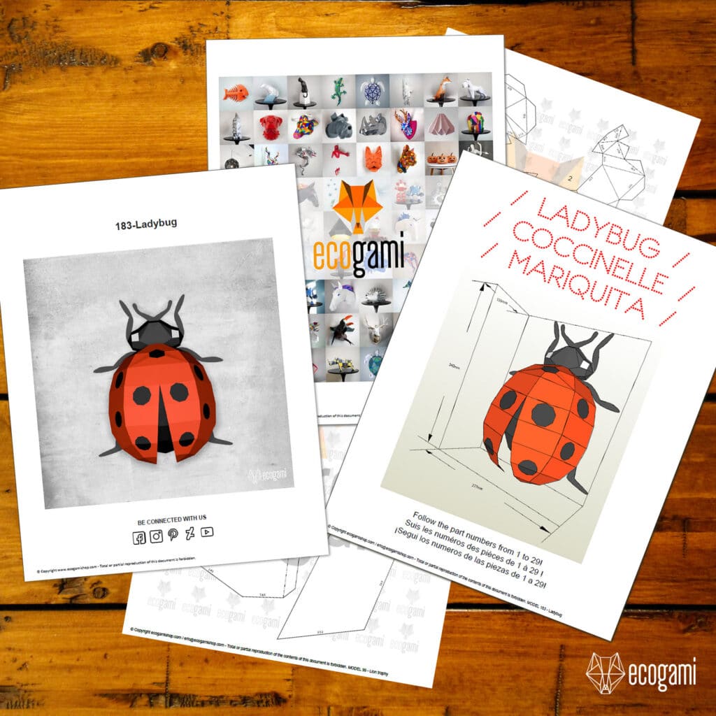 Papercraft de coccinelle en origami 3D