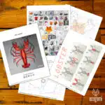 Papercraft Lobster in Origami 3D