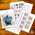 Papercraft tortue marine en deux versions