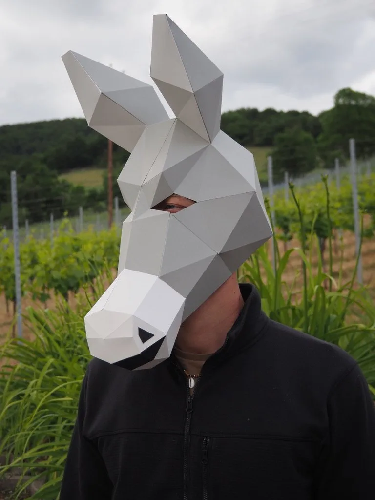 Masque d’âne gris porté parmi les rangées de vignes verdoyantes
