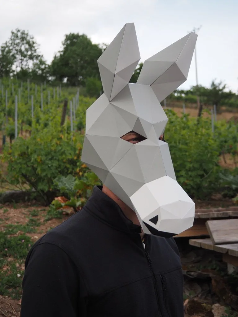 Museau blanc d’âne en papier contrastant avec des vignes vertes
