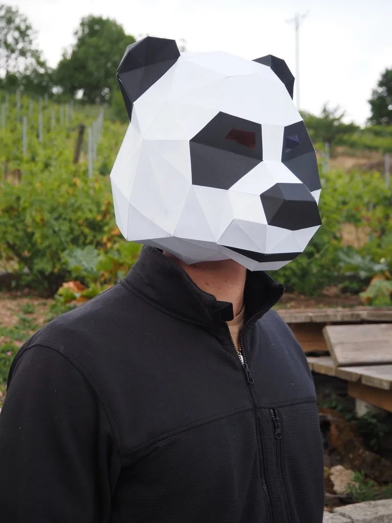 Homme avec masque de panda dans un vignoble ensoleillé