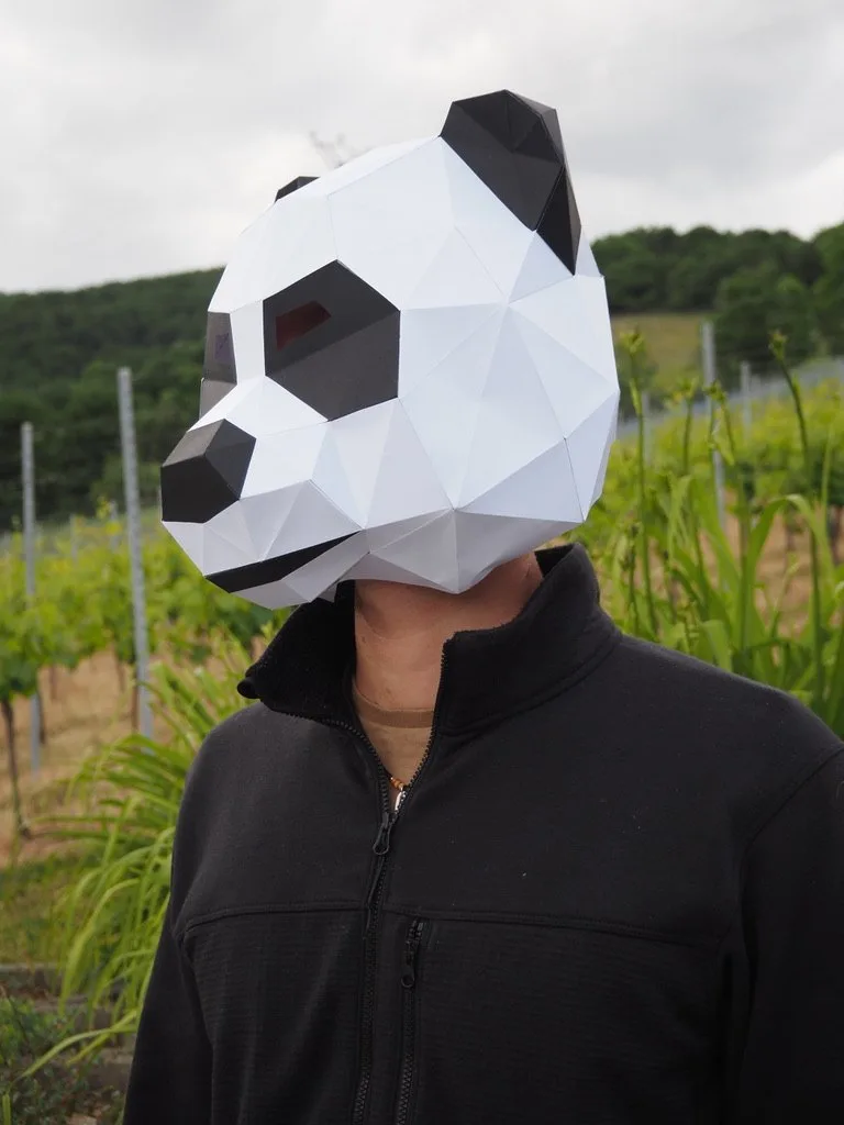 Personne avec masque panda géométrique dans les vignes