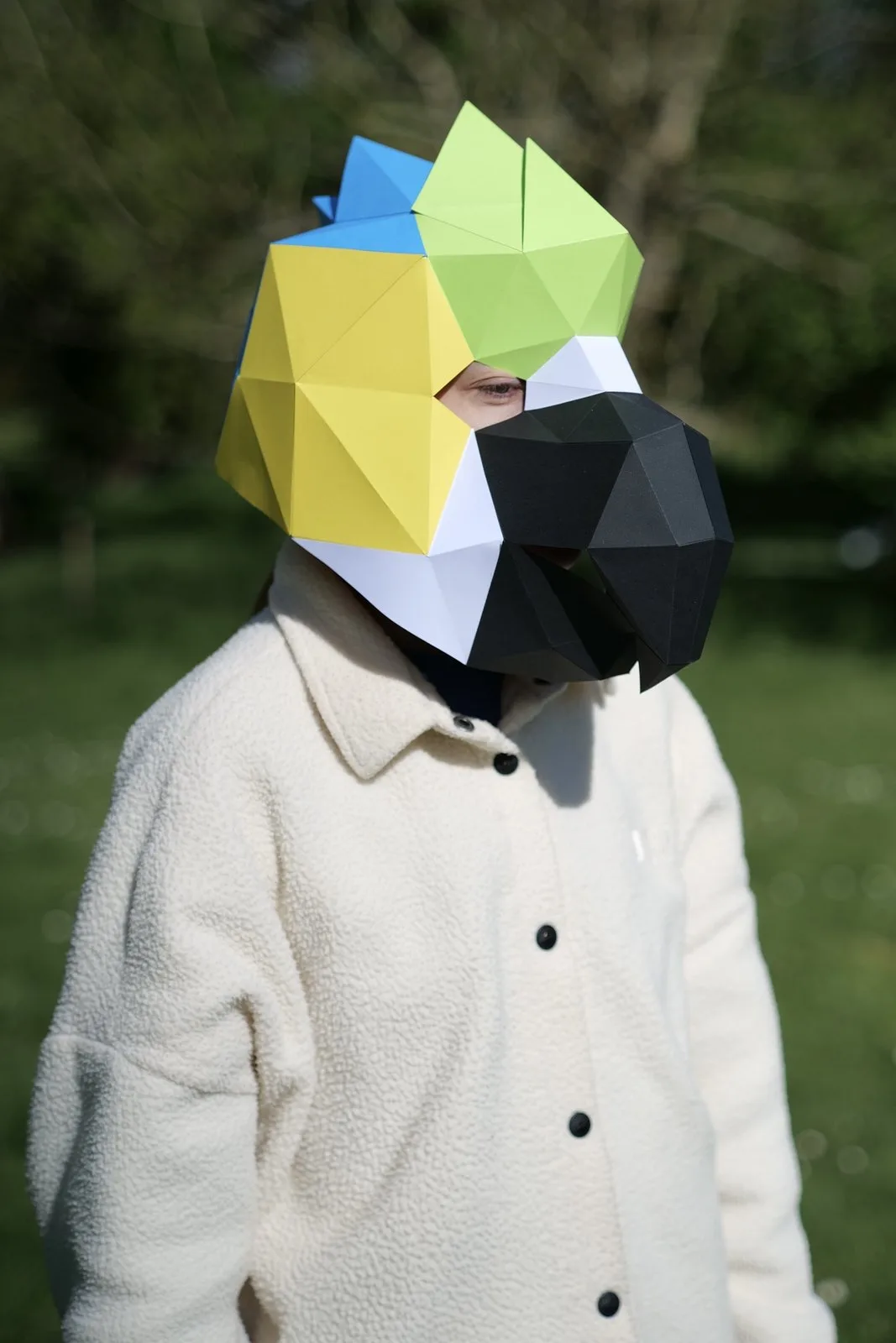 Enfant souriant avec masque de perroquet aux plumes vives