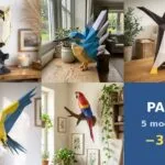 Bird Pack