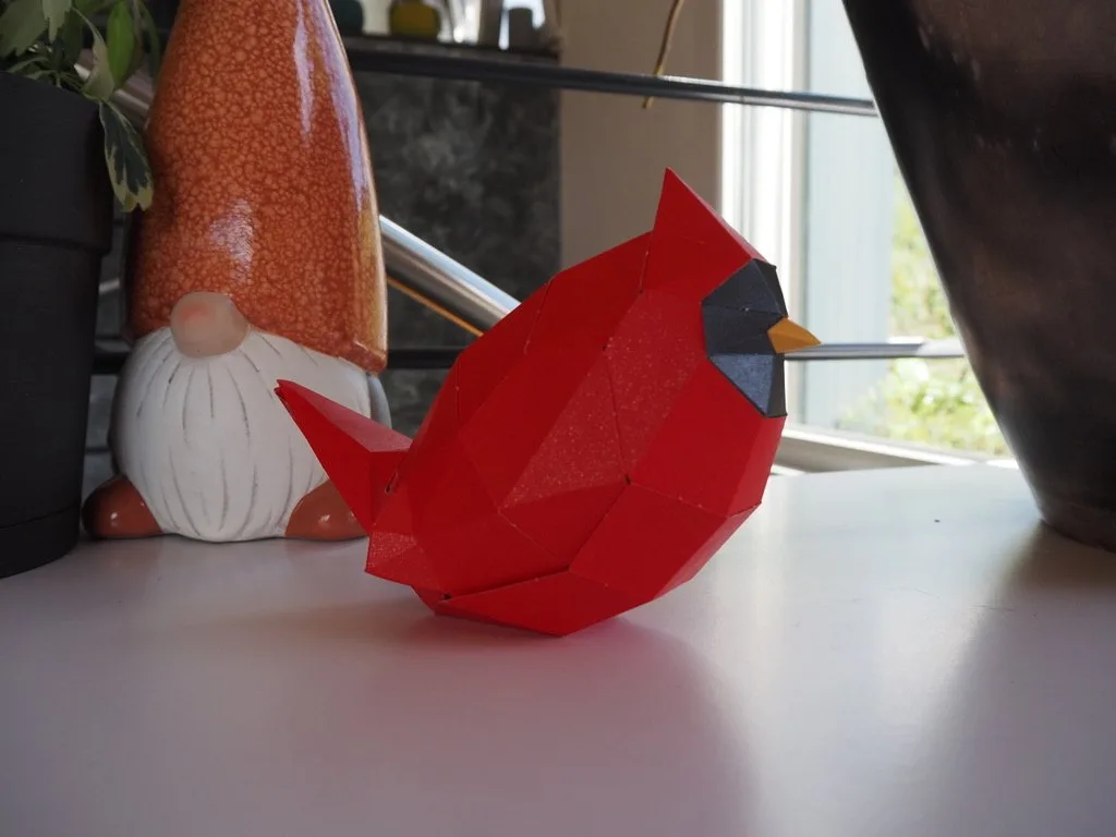 Cardinal rouge à masque noir posé sur un meuble