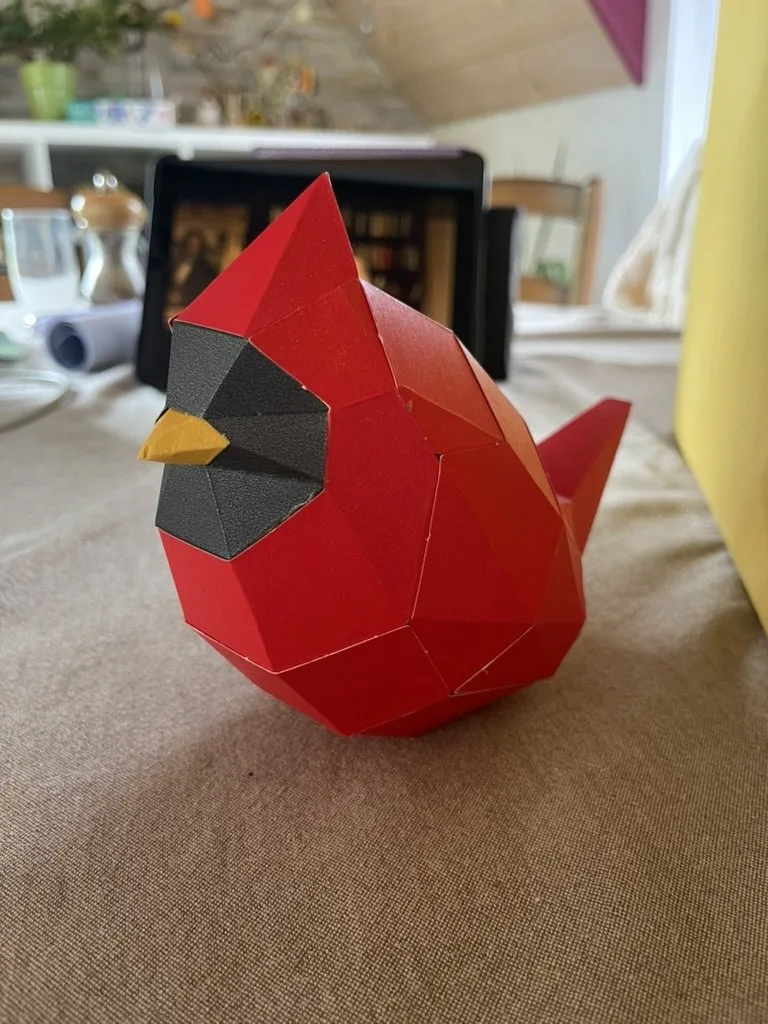 Oiseau cardinal rouge bec jaune sur table en bois
