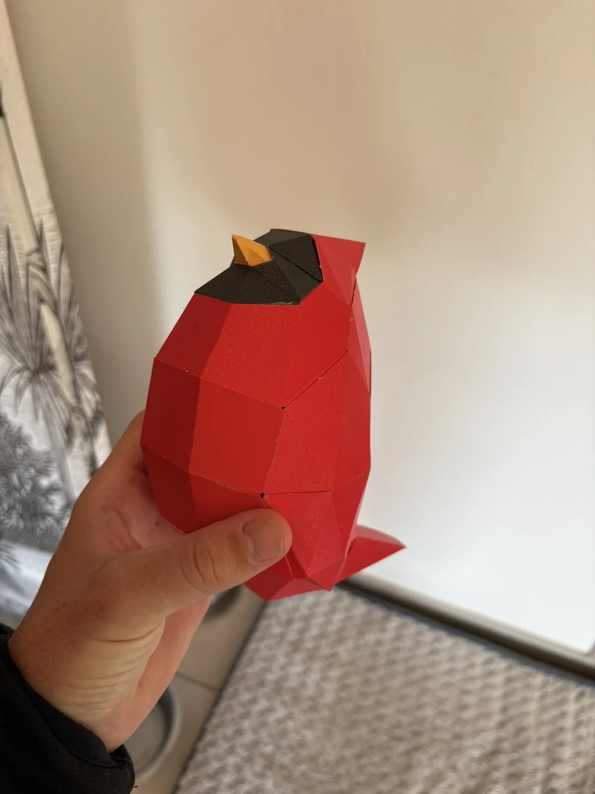 Petit cardinal rouge tenu en main masque noir