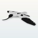 Pied avocet in flight 3D papercraft - PDF template