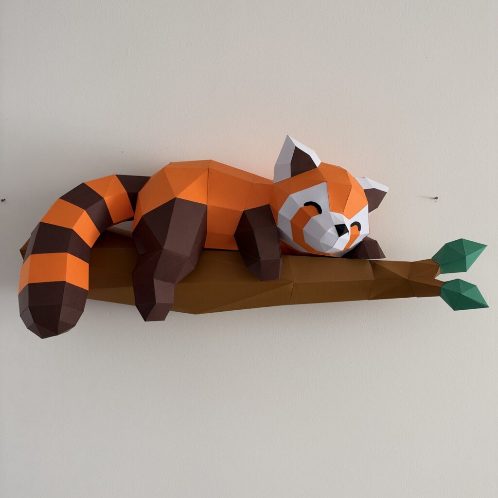 Panda roux endormi - 1