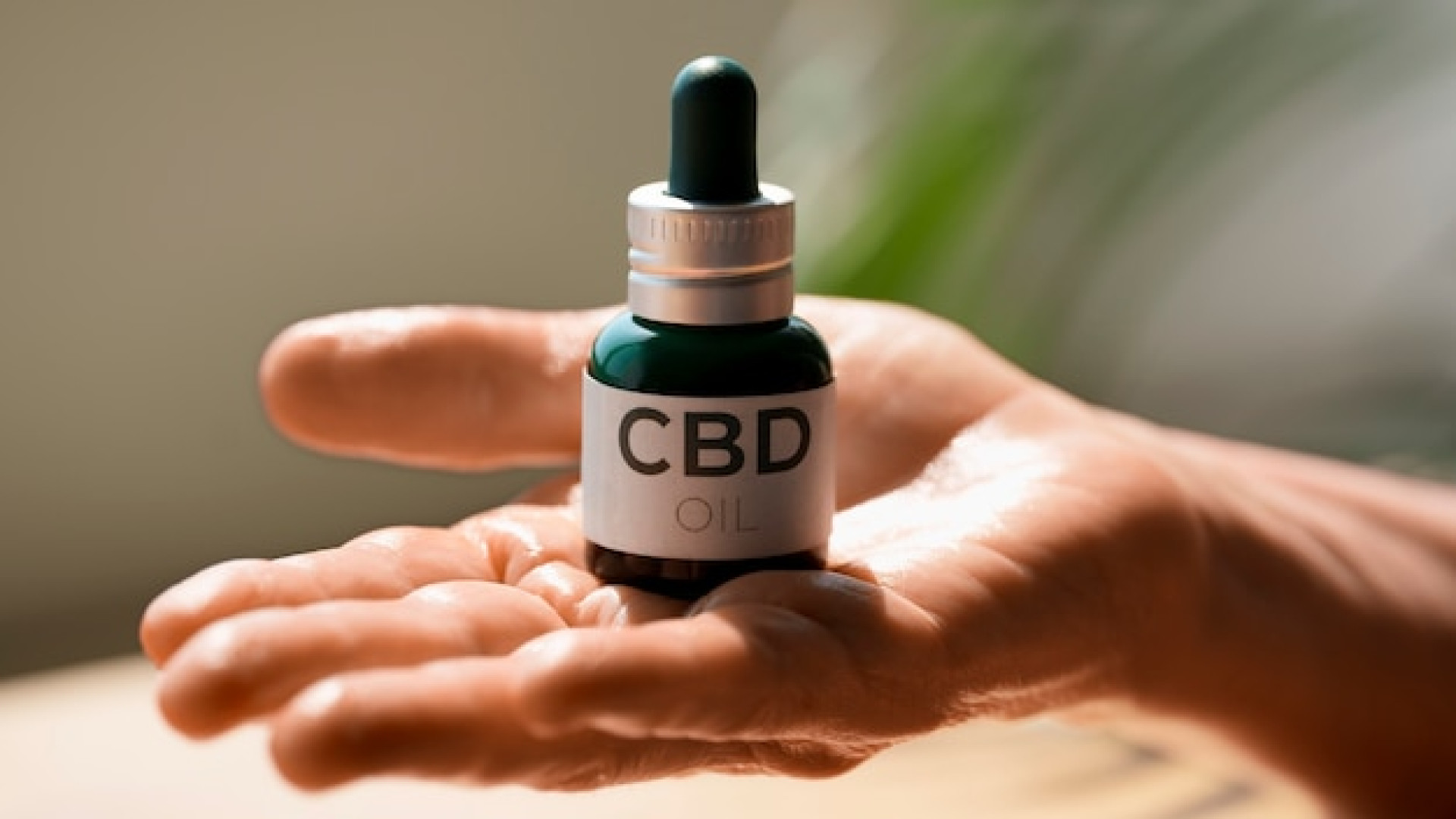 Flacon d’huile de CBD posé dans une main