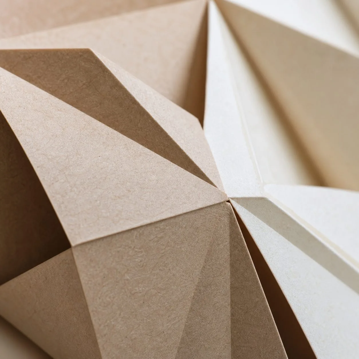 Gros plan sur la texture du papier sculpté recyclable